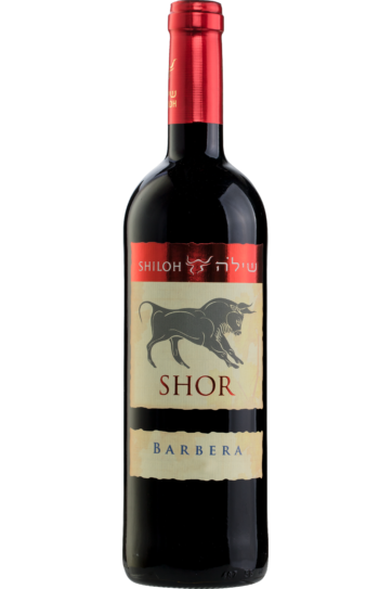 Shiloh Shor Barbera