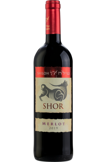 Shiloh Shor Merlot