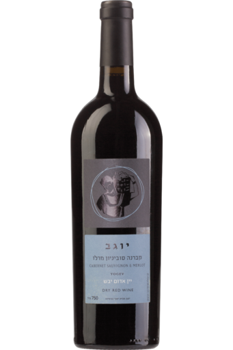 Binyamina Yogev Cabernet - Merlot